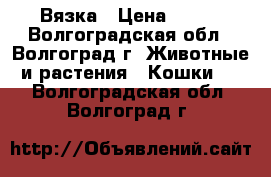 Вязка › Цена ­ 800 - Волгоградская обл., Волгоград г. Животные и растения » Кошки   . Волгоградская обл.,Волгоград г.